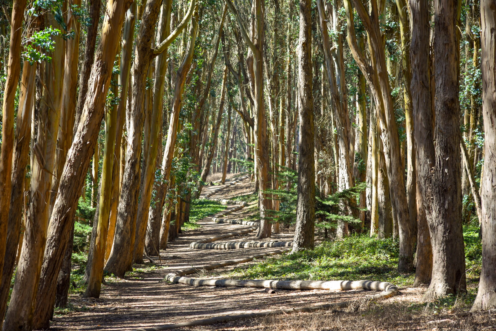 6 Places Where You Can See Andy Goldsworthy’s Art in the U.S. - AFAR