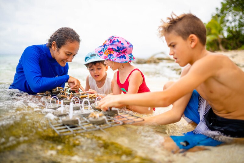 Fiji-Activities_coral-planting_Nanuku-Resort.jpg