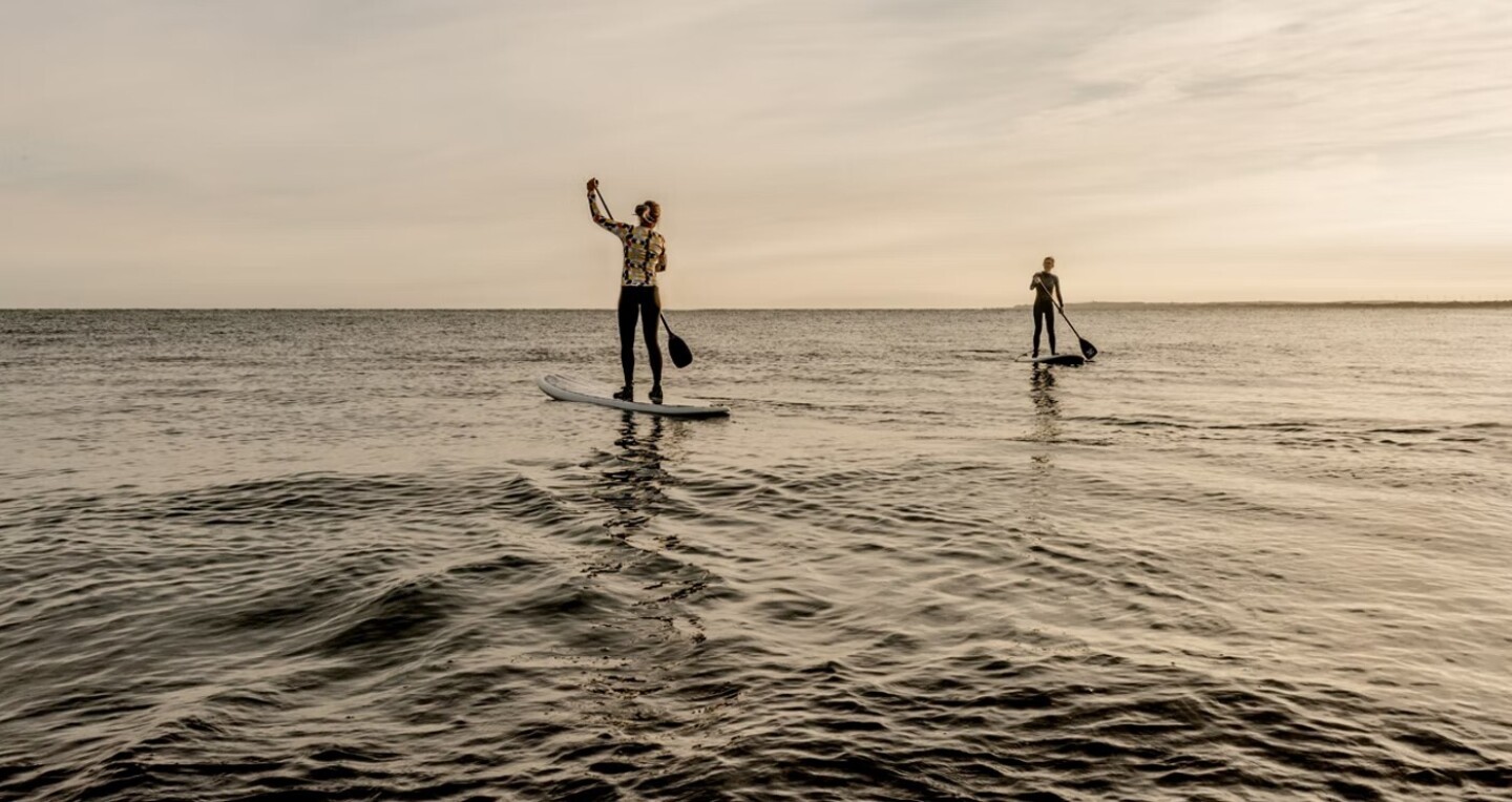Two people paddleboard on a calm sea