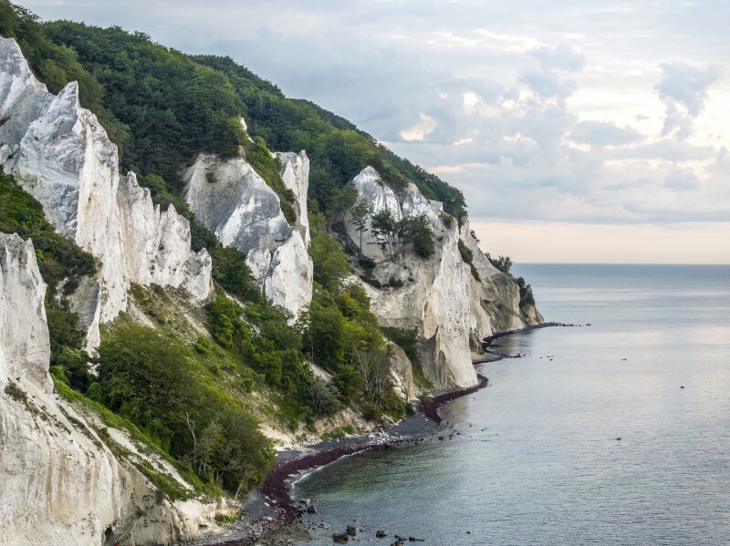 Craggy white cliffs known as Møns Klint line the coast on the island of Møns, Denmark