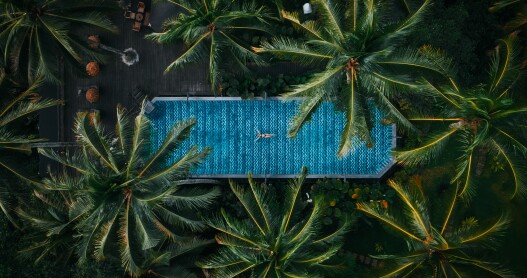 Capella Ubud's main pool, seen from above.