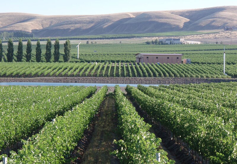 Quilceda Creek turns out some of Washington’s very best wines; it celebrated its 40th vintage in 2019.