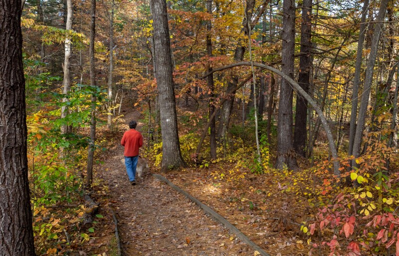 A photograph of a person walking Asheville's Mountains-to-Sea trail among autumn colors.