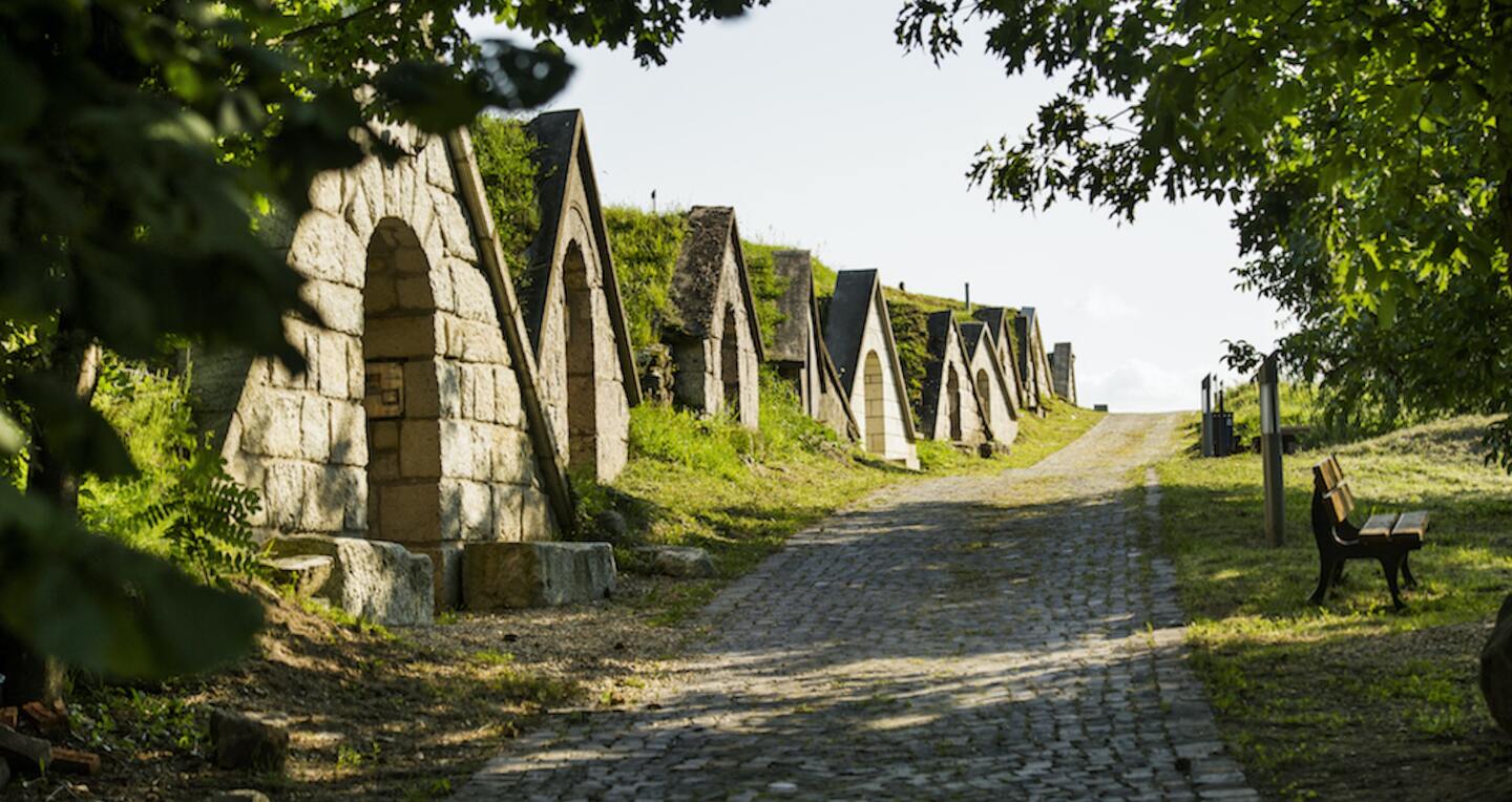 Houses built into a hill alongside a stone brick road