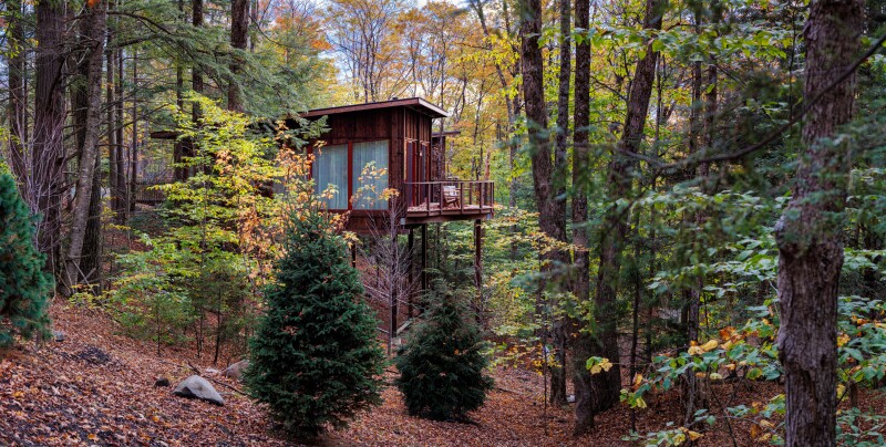 A wooden treehouse on stilts surrounded by trees