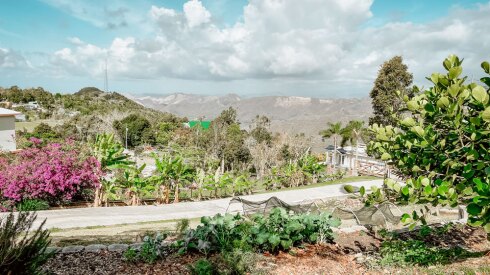A Guide to Puerto Rico’s Farm-to-Table Dining Movement