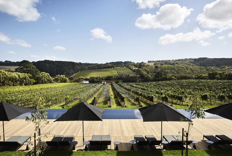 Row of empty black lounge chairs and umbrellas facing green vineyards