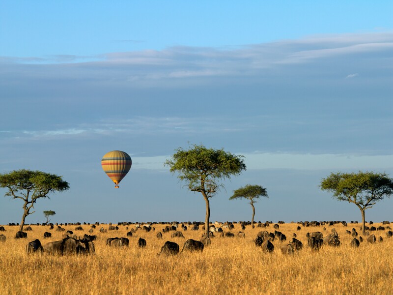 A moment in time captured on the Maasai Mara<br/>