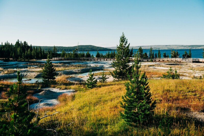 Smattering of pine trees, natural hot springs, elevated walkway and a lake at Yellowstone National Park