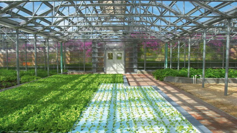 This Hotel Garden Might Just Revive Anguilla’s Food Scene Post-Hurricane Irma