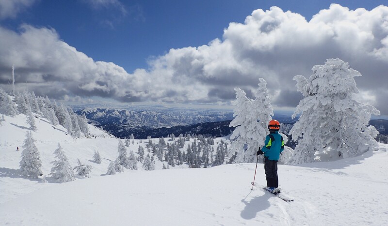 A skier at Bogus Basin ski area overlooking the white landscape