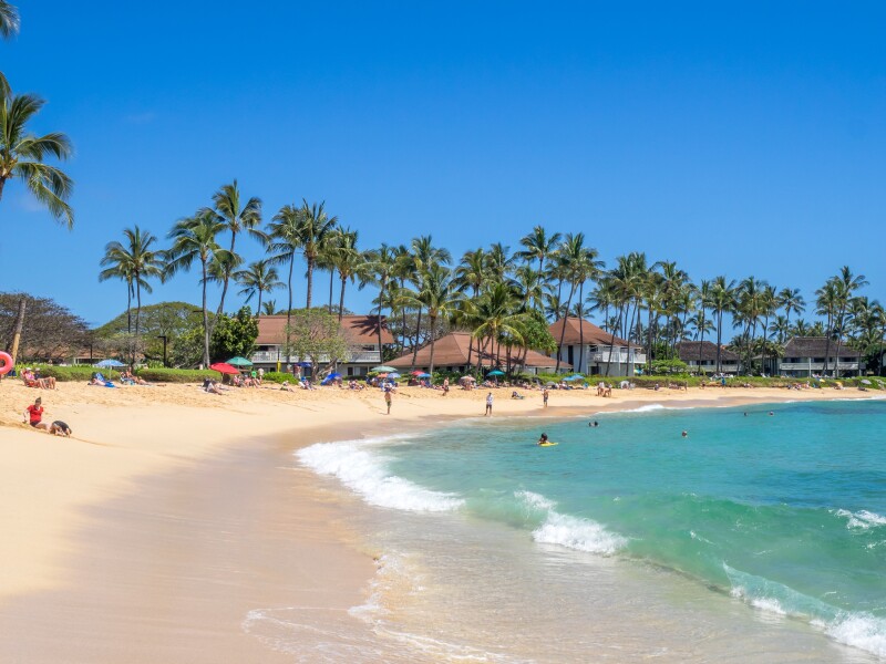 A few people on curved beach, with palm trees in background