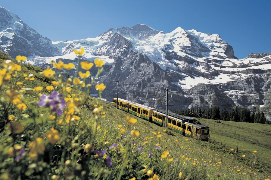 Poschiavo valley in spring