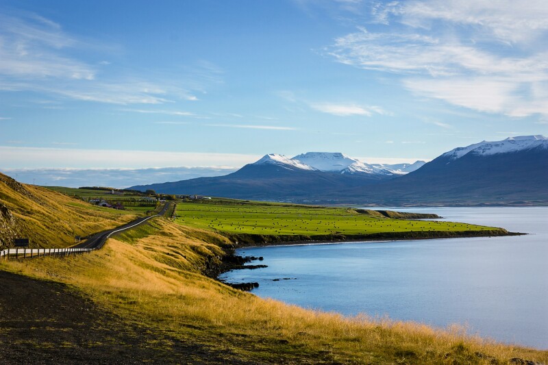 A view of a grassy hillside and mountains in the distance in Iceland