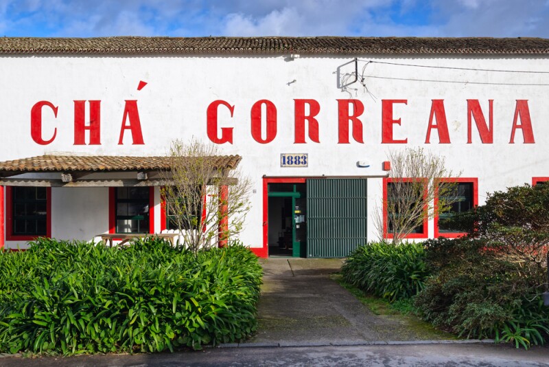 Chá Gorreana was founded in 1883.