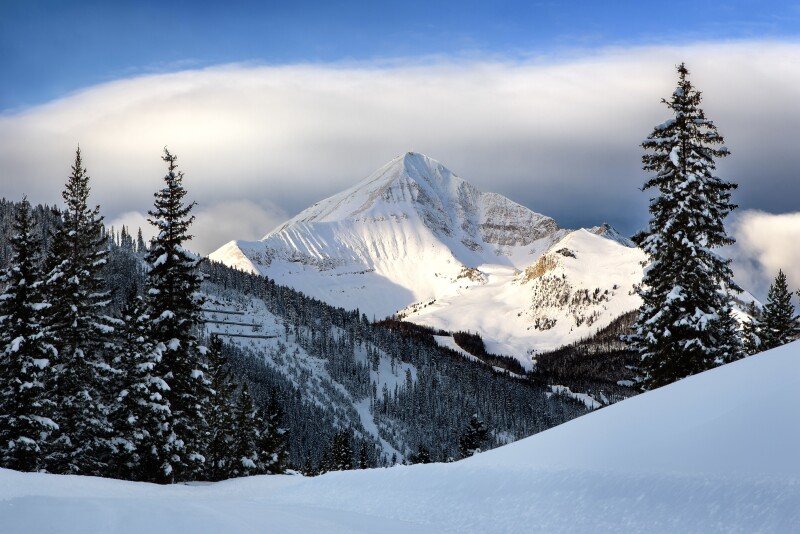 A snowy field backed by snow-dusted evergreens and white mountain peak