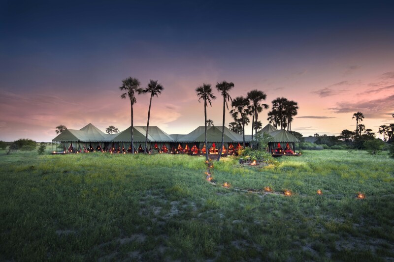 Distant view of Jack's Camp, a tented retreat on grasslands, with palm trees.