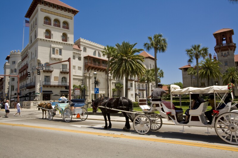 Two horse-drawn carriages on a street with palm trees