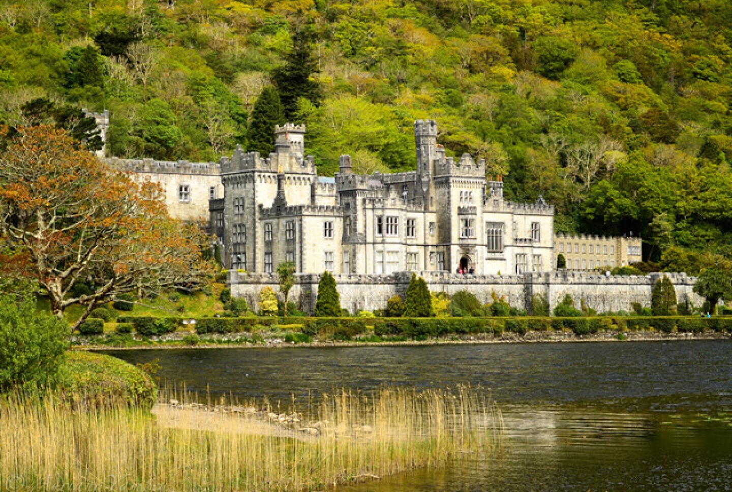 Propose like royalty at the Kylemore Abbey Castle
