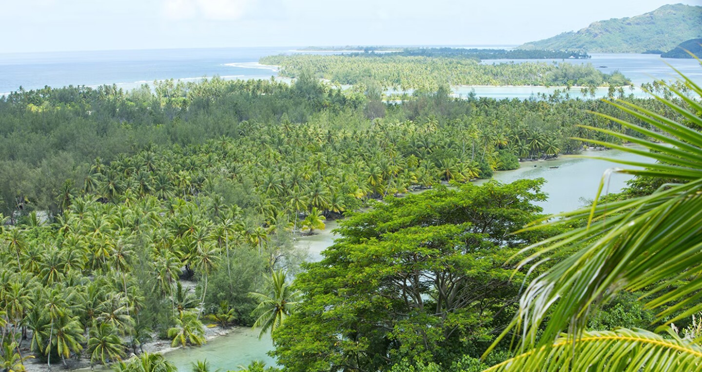 African American_Day 2.jpg