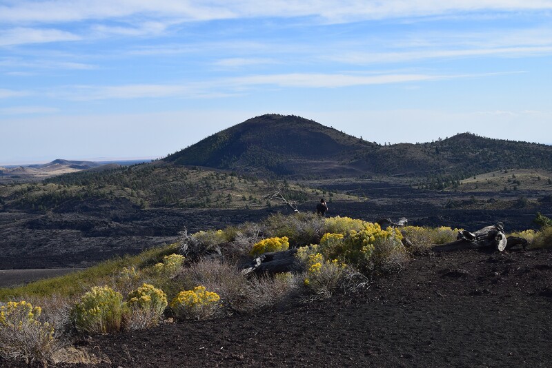 Wildflowers at Craters of the Moon National Monument
