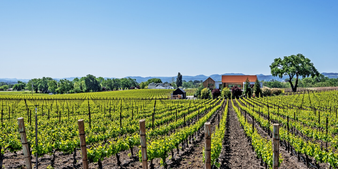 American Airlines lanzará una nueva ruta nacional en 2025 American Airlines lanzará una nueva ruta nacional en 2025
