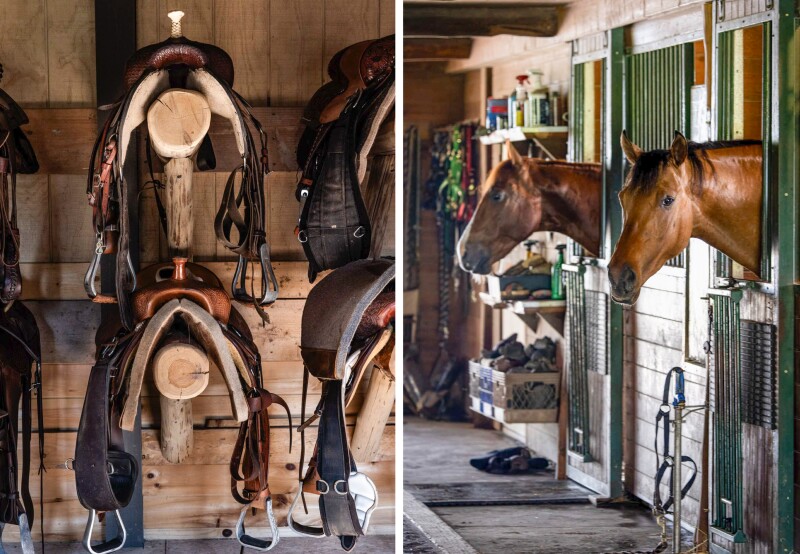 Saddles hanging on a barn wall (L) and two horses sticking their heads out of their stalls (R) at the barn at Driftwood Ranch Resort