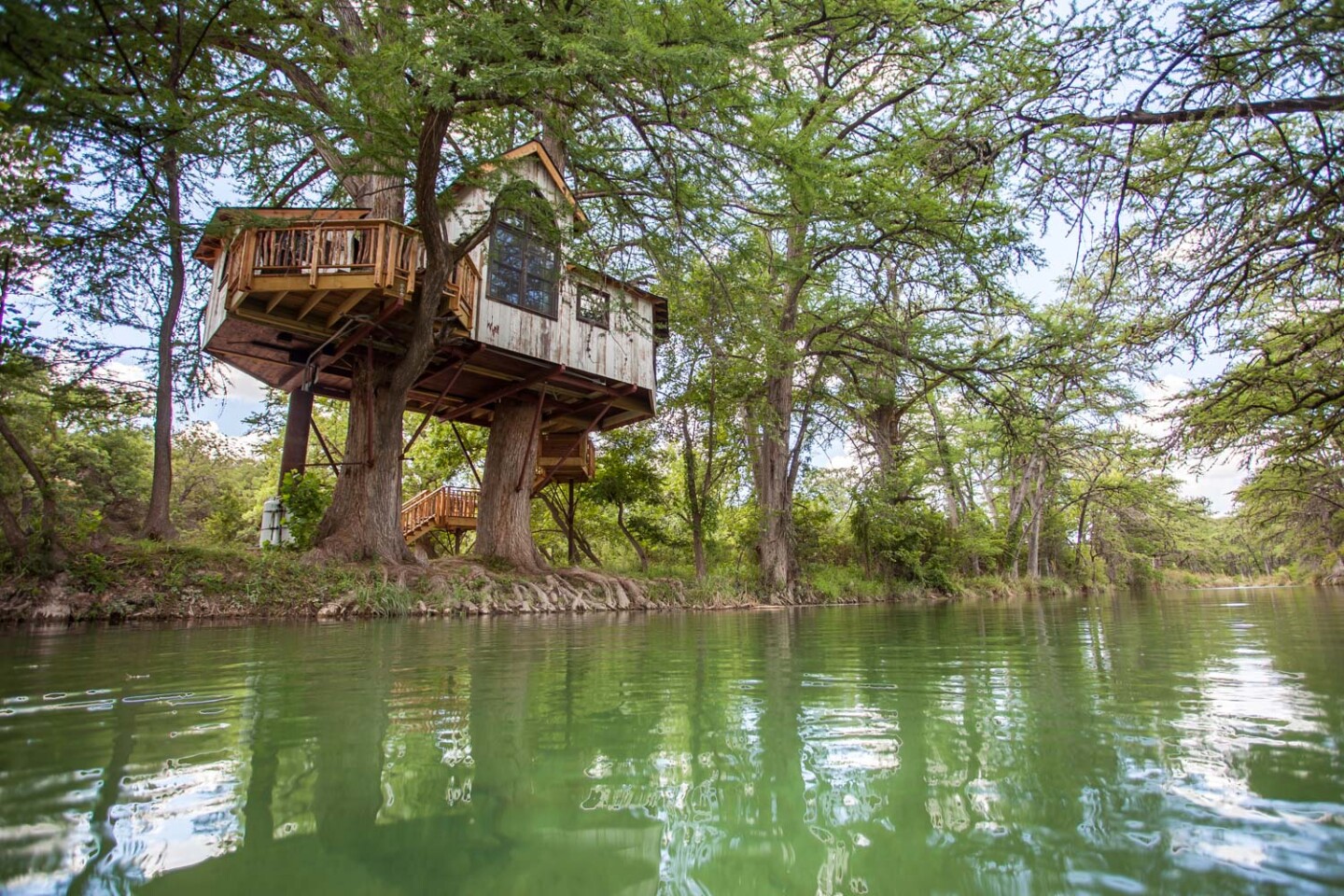 15 Magical Tree House Hotels to Book Now - AFAR