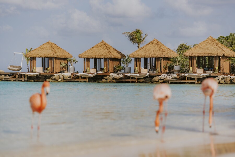 The 10 Best Hotels in Aruba for a Truly Local Stay