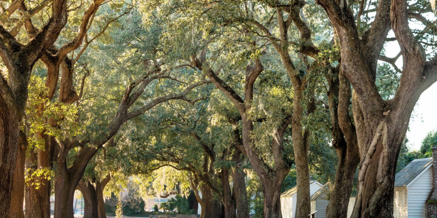 The Gullah Geechee History on South Carolina's Sea Islands - AFAR