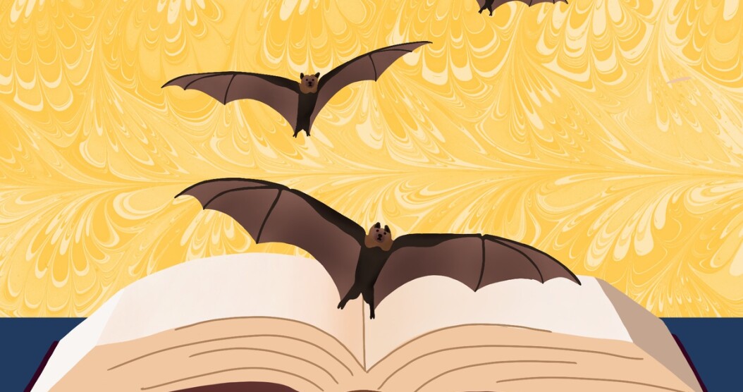 Why Bats Are Found in These Libraries - AFAR