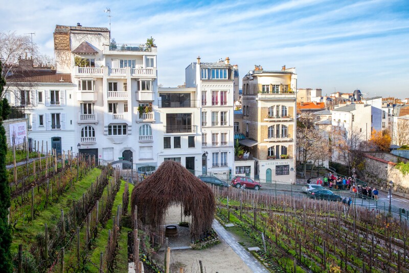 White building behind a green vineyard in a city.