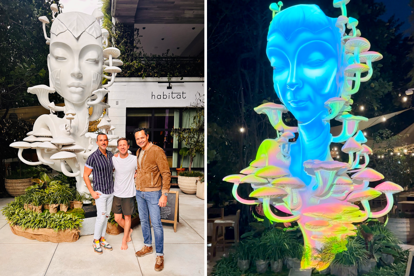 Artist Daniel Popper (middle on left) debuts his “Mycelia” sculpture (right), shown white and colored mostly blue by lights