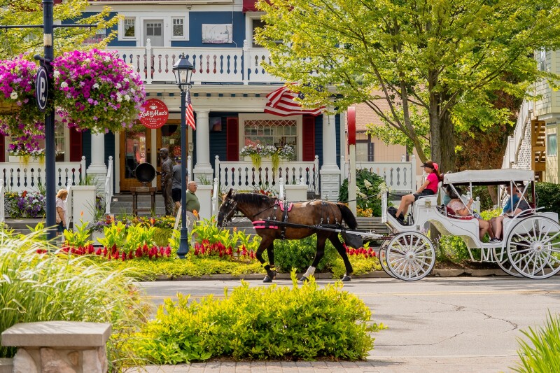 Side view of a brown horse pulling a white carriage in front of a blue and white building with porch