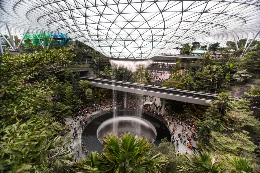 A waterfall coming from a glass ceiling surrounded by tropical plants.
