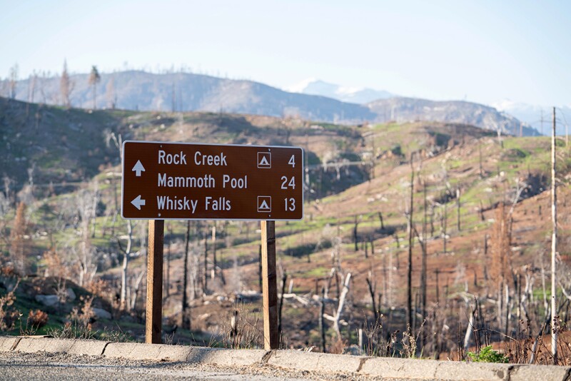 After the Creek fire, spring 2021