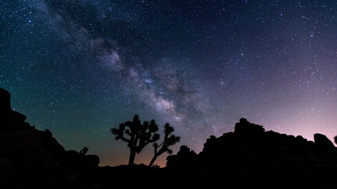 Joshua Tree National Park Deserves Its Recent Recognition