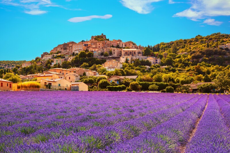 Rows of lavender in large field, with village on hill in distance