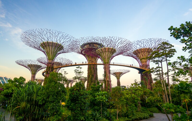 Gardens by the Bay
