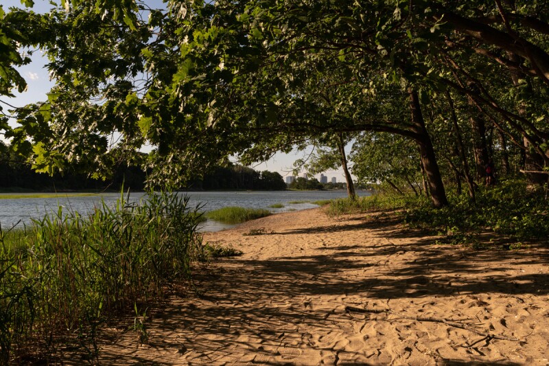 The Bronx is NYC’s greenest borough with the most land dedicated to parks.