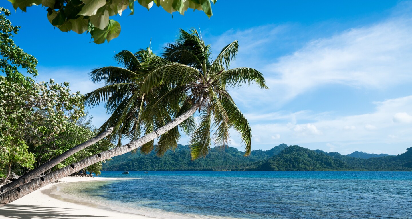 Palm trees leaning over a white sand beach at Matangi Island Resort in Fiji