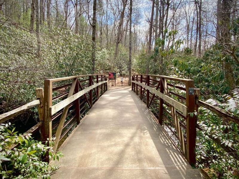 The North Carolina Arboretum is a 434-acre oasis of public gardens just south of Asheville.