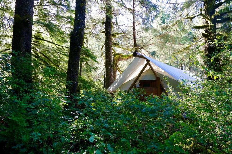 A white tent in the forest at Clayoquot Wilderness Resort