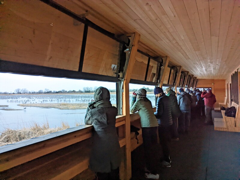 Birders eagerly begin filling bird blinds before the sun rises to snag a good vantage point.
