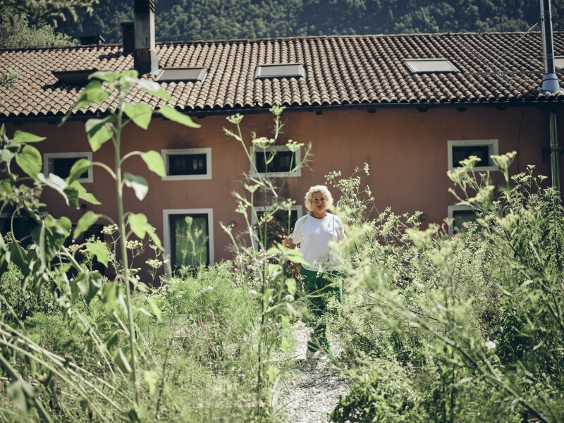 A chef walking through a garden of overgrown plants, with brown tile-roofed house in background