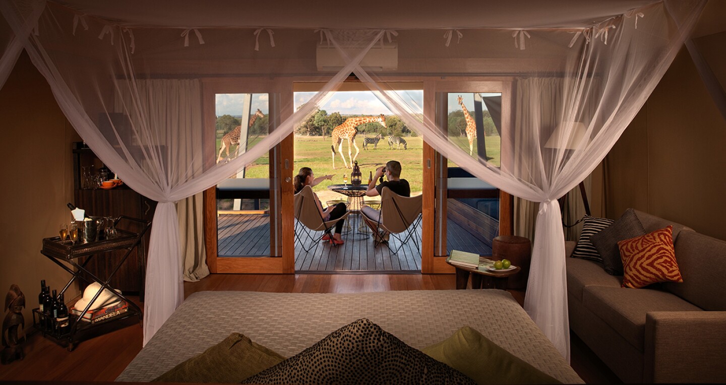 A couple share a glass of wine while watching giraffes cross a field in front of them.