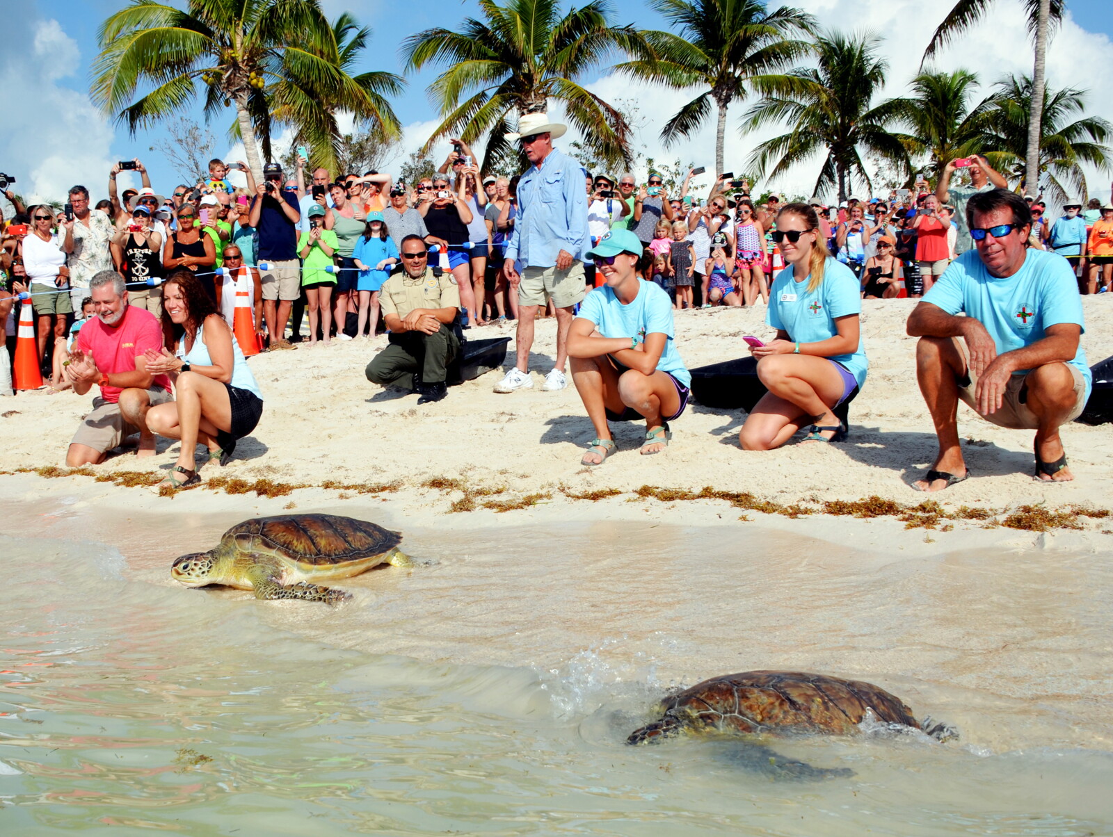 Turtle Key The Best Ocean Adventures for Families in the Florida Keys - AFAR
