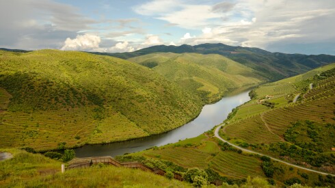 River among green hills in the Côa Valley Archaeological Park