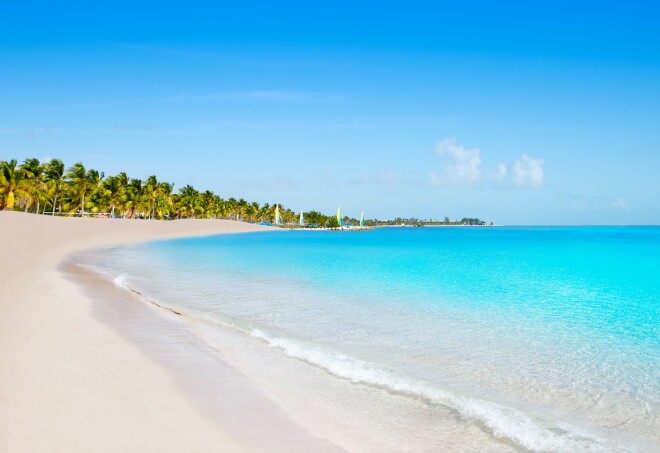 Key west florida Smathers beach palm trees in USA