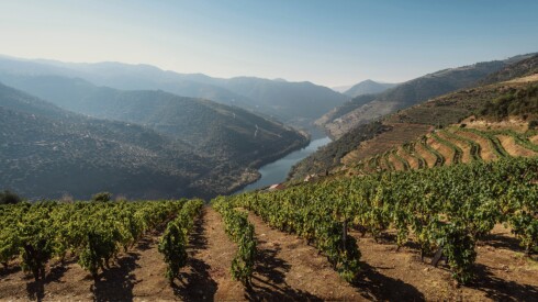 Douro Valley Vineyards River Rolling Hills Roam by Tauck